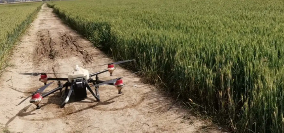 无人机监测小麦生产