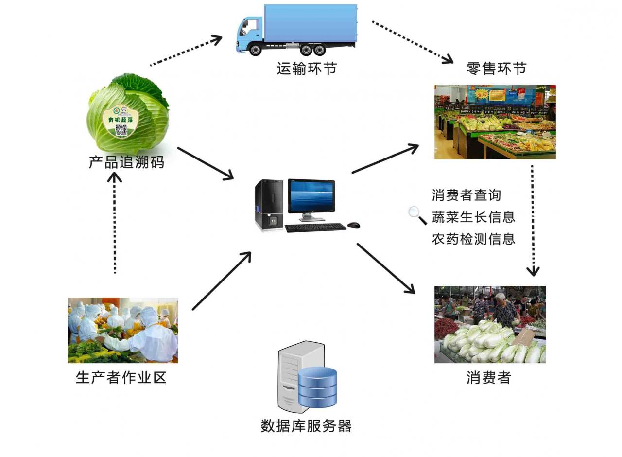农业电子商务结构图