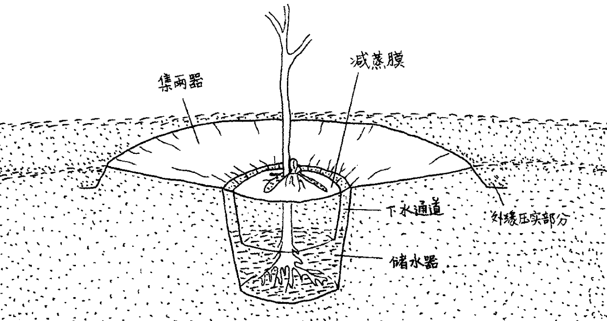 渗漏灌溉