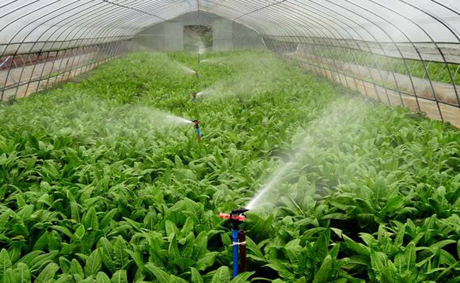 温室大棚节水灌溉