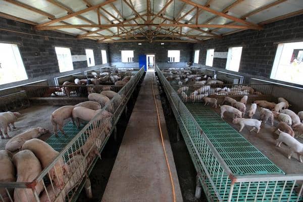 智慧畜牧养殖管理系统，规范肉食品的质量安全