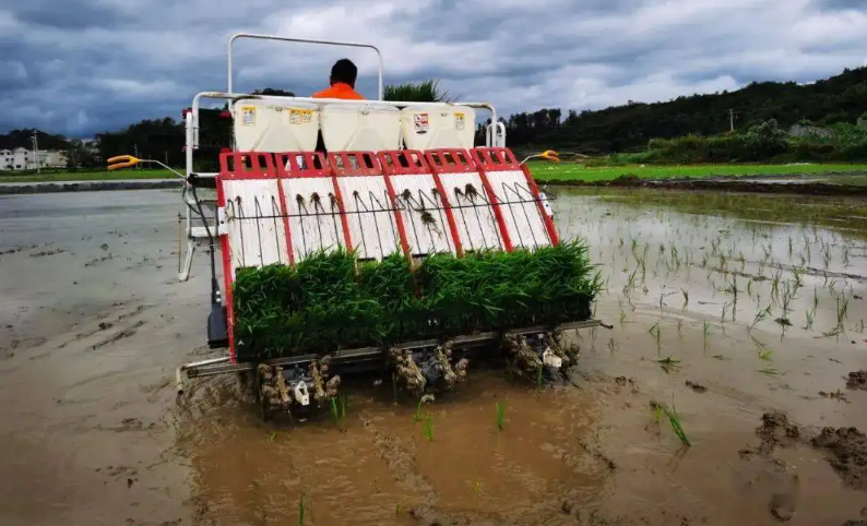 水稻种植机械化