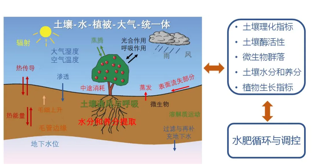 土壤水肥一体化循环