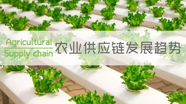 湖南省建设农产品供应链体系获国家支持