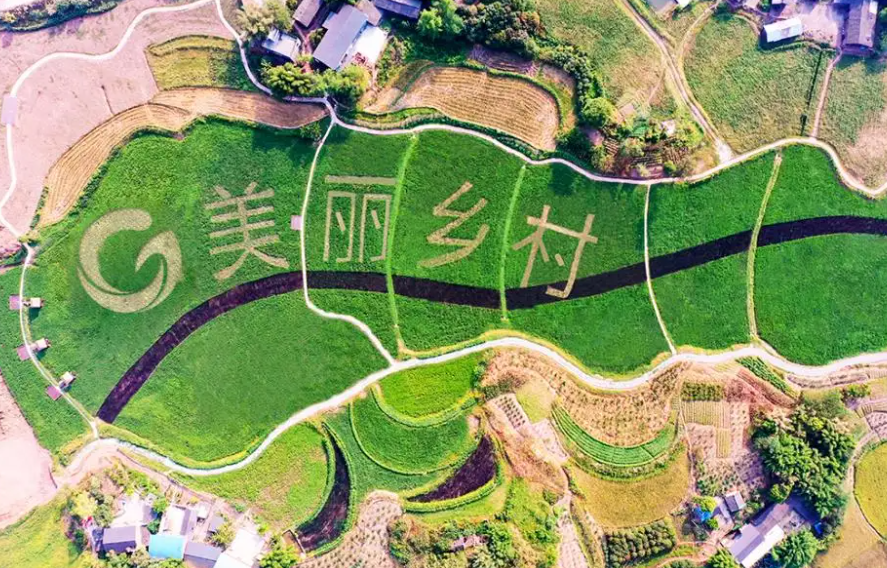 天津市东丽区发力特色种植养殖产业助力乡村振兴