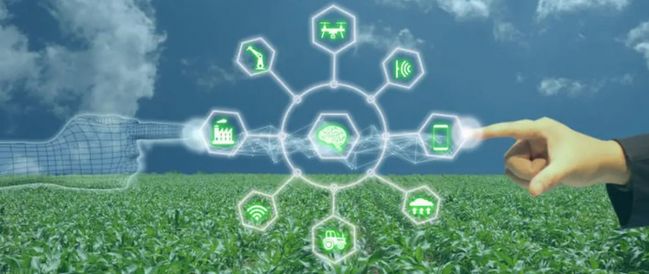 物联网技术在现代农业生产中的应用