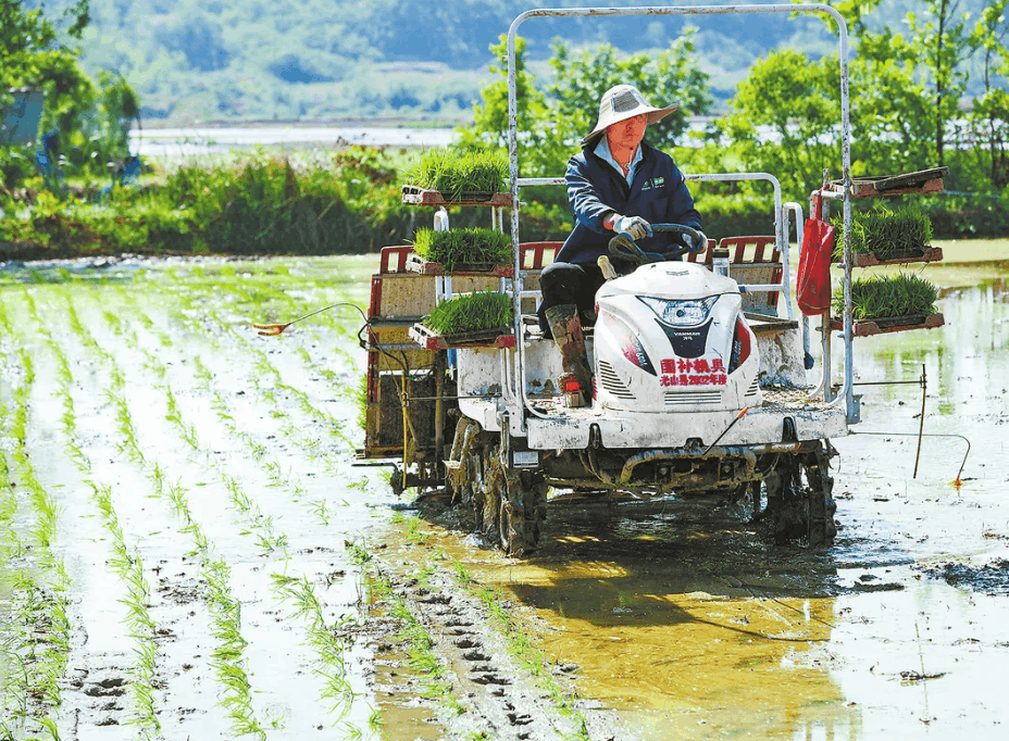 水稻全程机械化 助推农业现代化