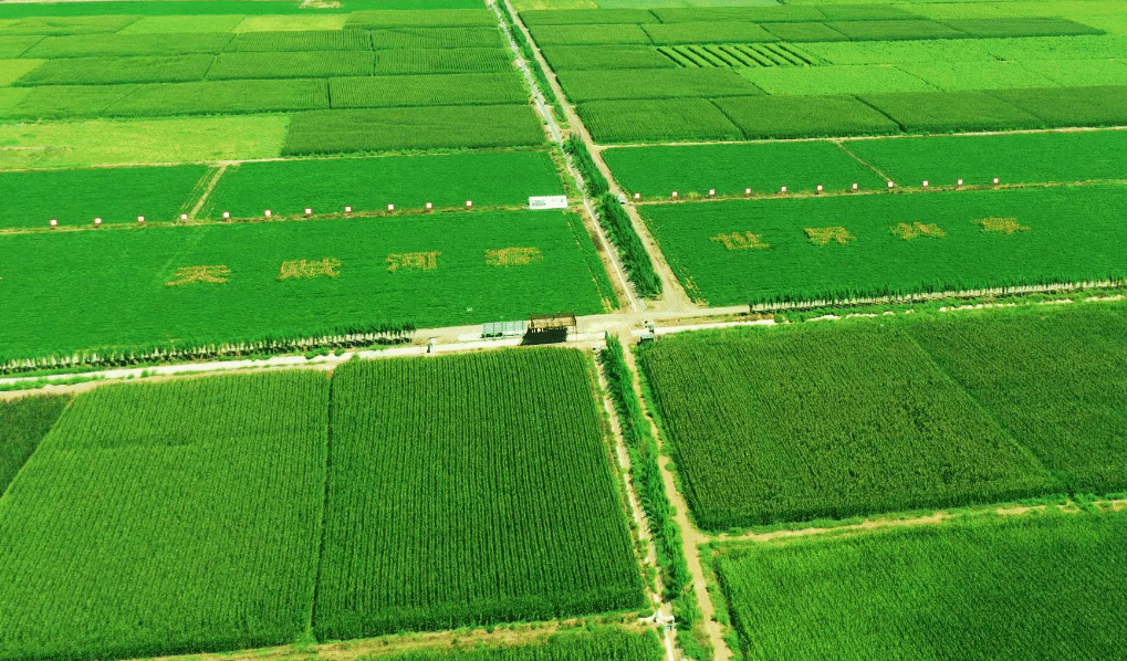 安徽省规划到2030年建成6750万亩高标准农田
