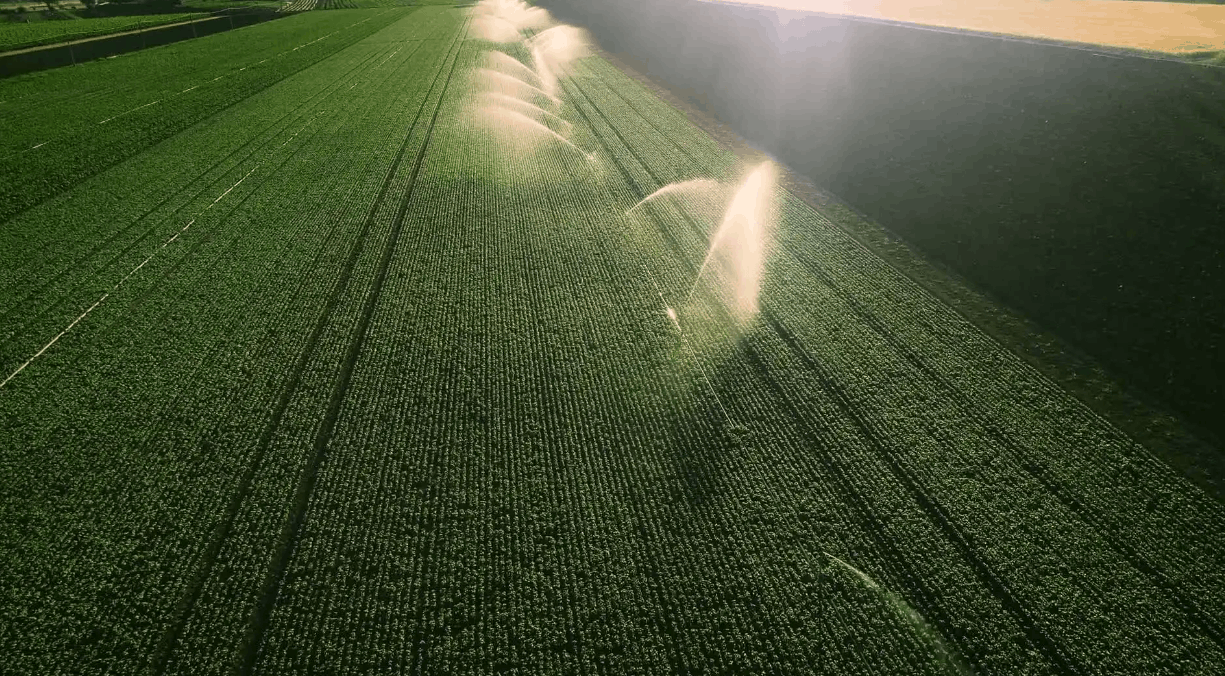 金湖县高标准农田：一键启动改变灌溉方式 智能化加快传统升级步伐