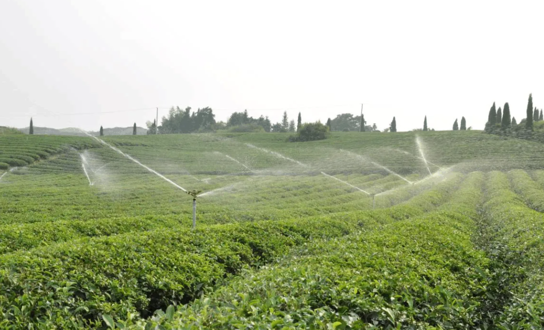 今年甘肃省确保高效节水 农田面积超千万亩