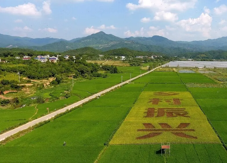 壮大特色产业 推进乡村振兴 加快构建城乡融合发展新格局