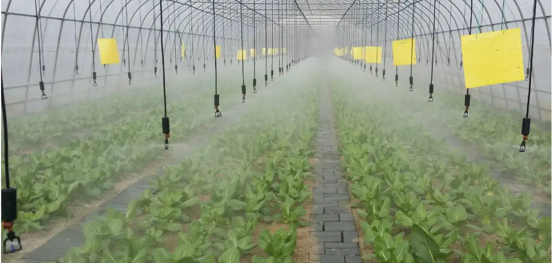 温室大棚应用智能灌溉系统的注意事项