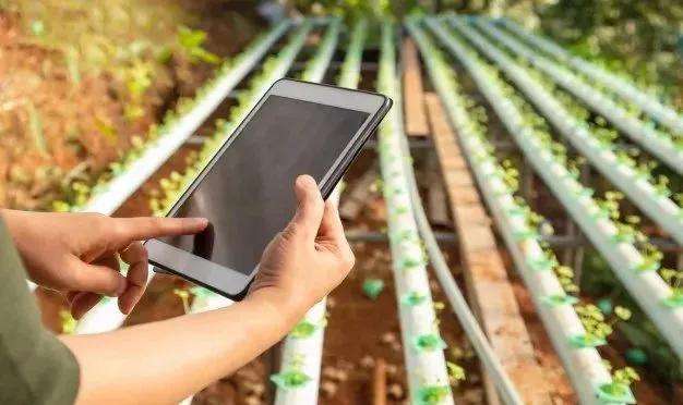 江都区升级打造12家农业综合体 构建智能型农业生产服务圈