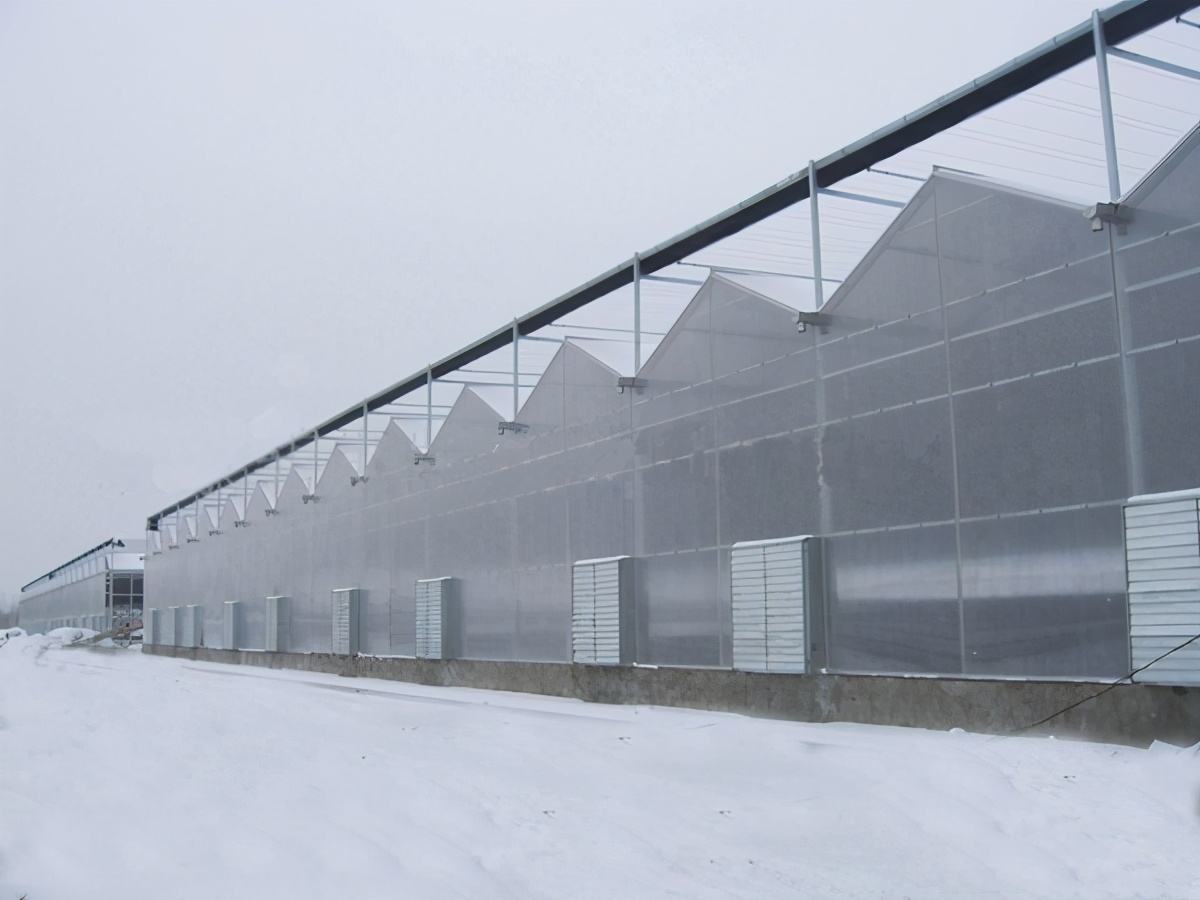 冬季温室大棚如何降湿不降温