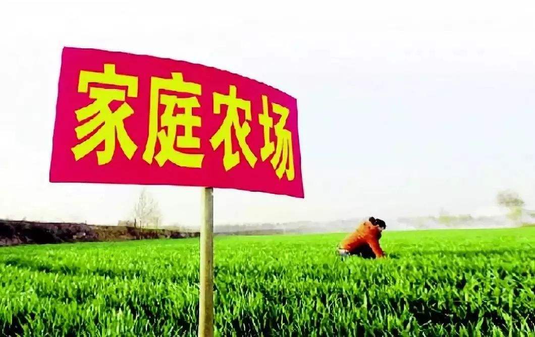 天津：2025年市级示范家庭农场稳定在300家