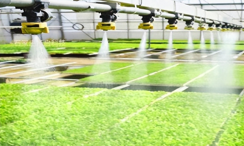 水肥一体化就是灌溉施肥同步进行的系统或者设施