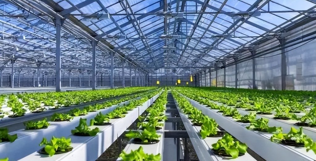智能温室大棚在现代农业生产中的优势