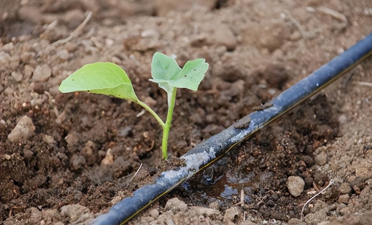 自动灌溉施肥设备