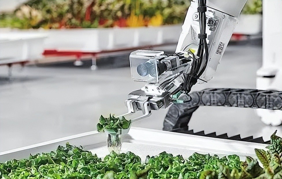 人工智能化，未来农业的智能化