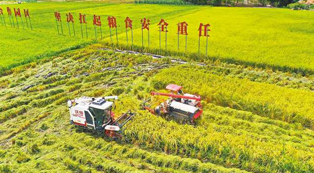 成渝地区现代高效特色农业带合作示范园区