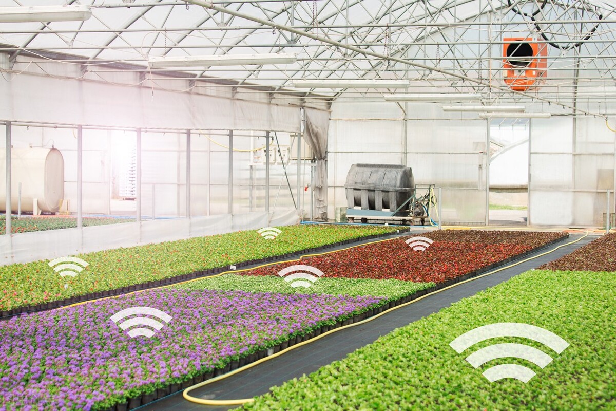 智能温室可以根据不同作物的生长需要调整温室内的环境