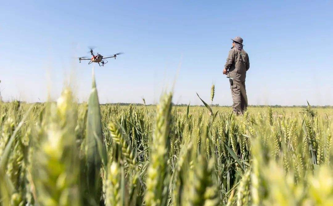 无人机作业助力科技农业驶入“快车道”