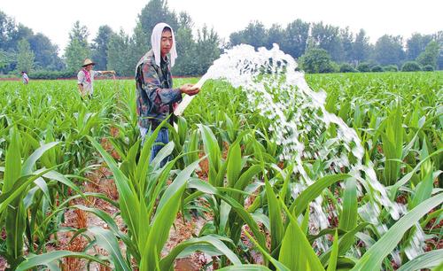 六种农业灌溉方式总结
