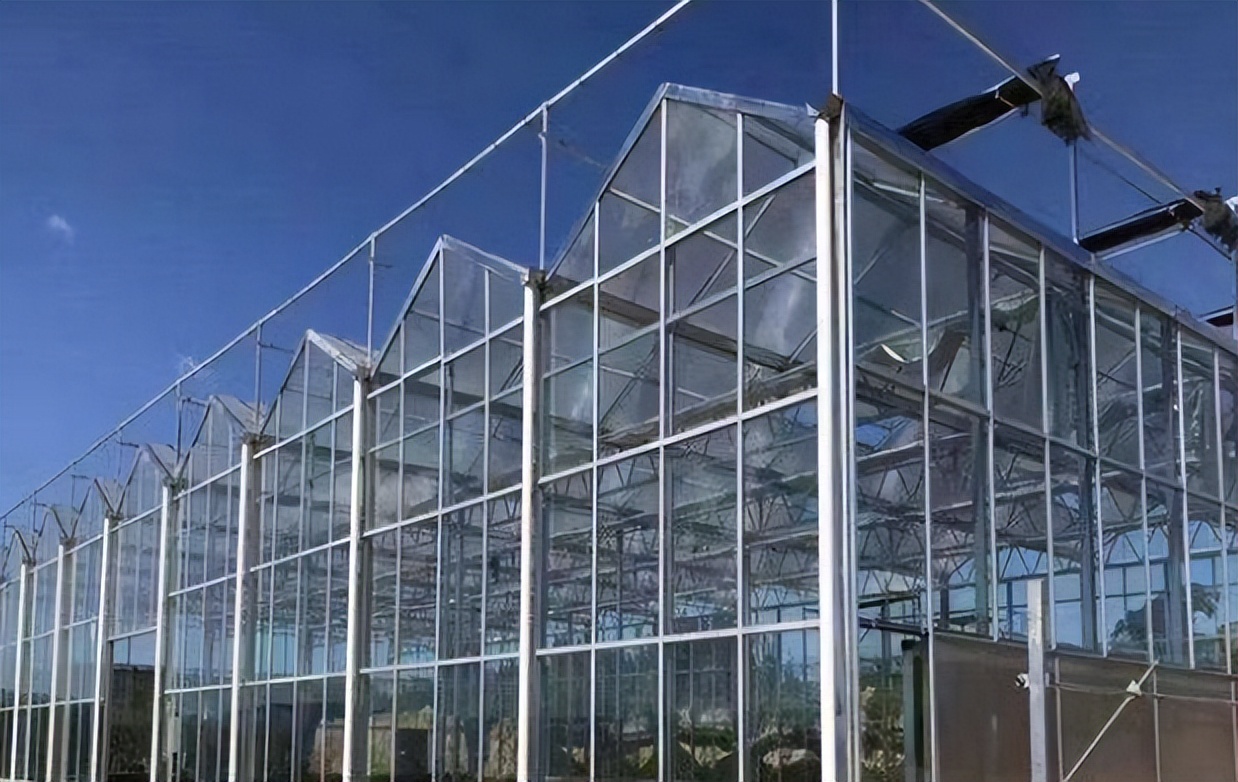 文洛型智能玻璃温室大棚