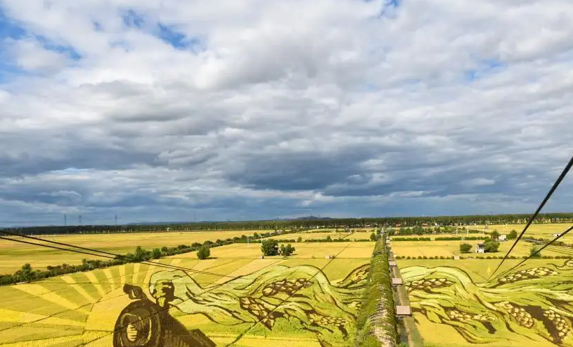 “稻田画”正在成为时下乡村旅游流行的主题