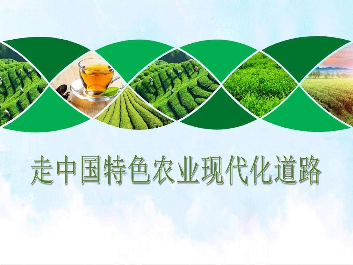 鄄城县积极推进高效特色农业发展平台中药材项目