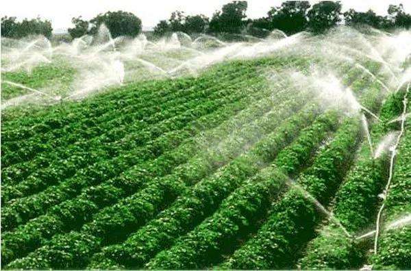 探索农业节水灌溉模式创新 推动农机装备产业转型升级