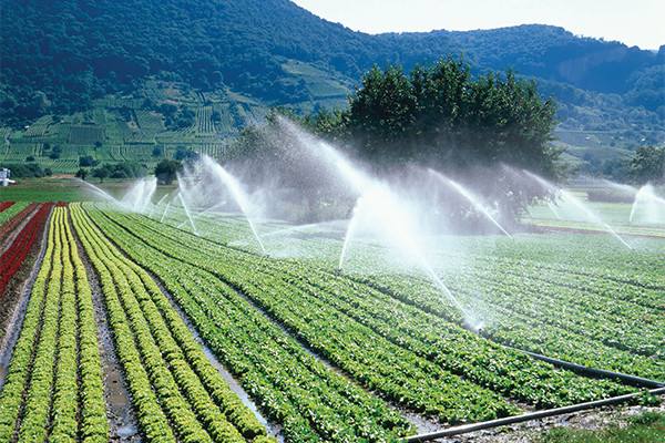农业常见的不同灌溉方式