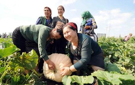 新疆农业：培育全产业链 擦亮特色招牌
