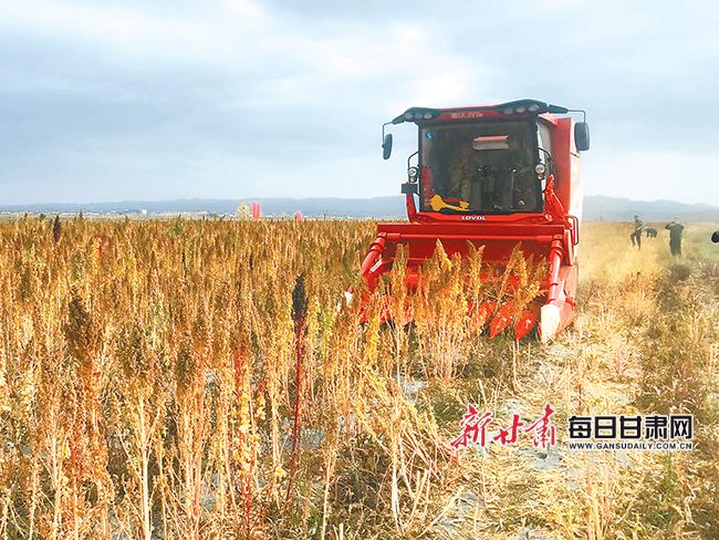 为了农业生产提质增效——甘肃农机化新技术推广多点开花