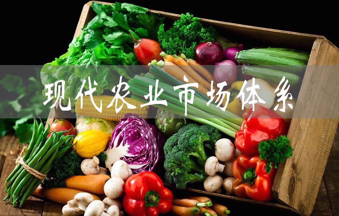 广东探索建立现代农业市场体系，发挥联农带农作用