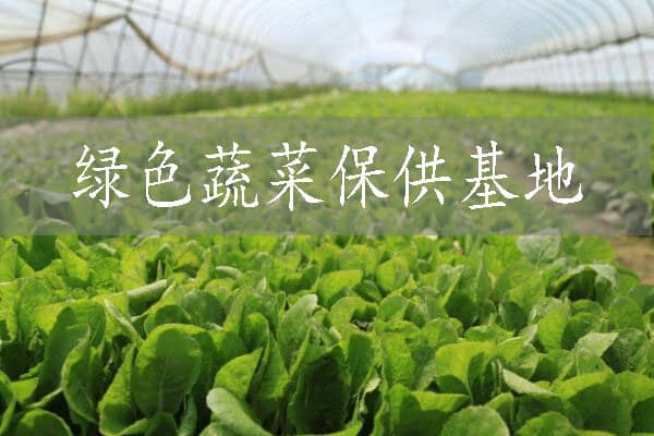 苏州市370个绿色蔬菜保供基地全部入库