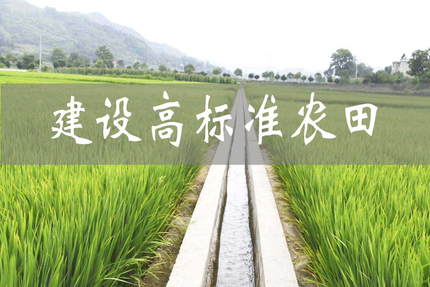 靖州建设高标准农田1.89万亩 促进农业高质量发展