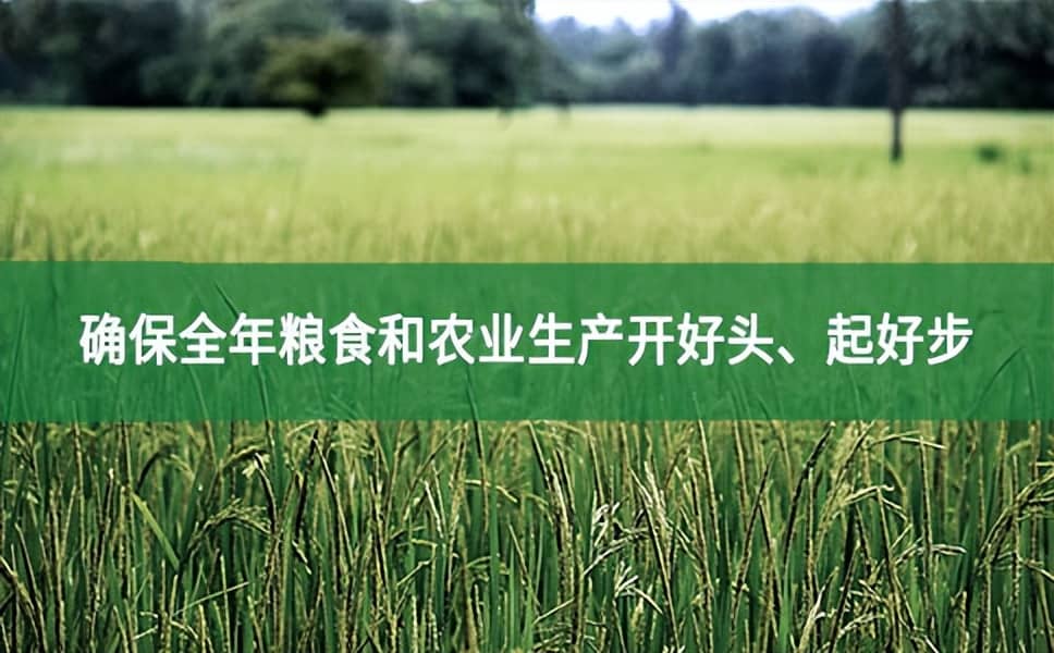 人民网评：确保全年粮食和农业生产开好头、起好步