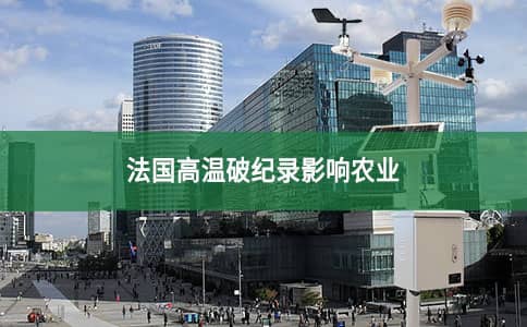法国高温破纪录影响农业