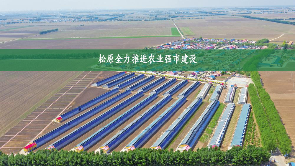 松原全力推进农业强市建设