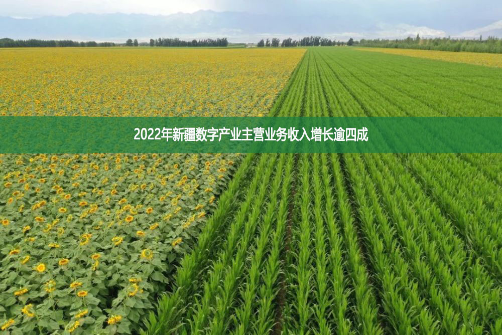 2022年新疆数字产业主营业务收入增长逾四成