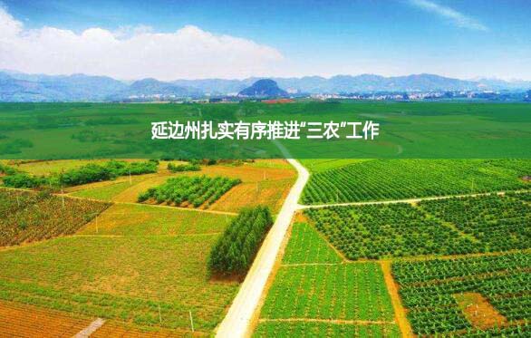 延边州扎实有序推进“三农”工作