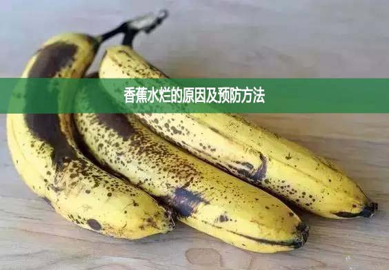 香蕉水烂的原因及预防方法