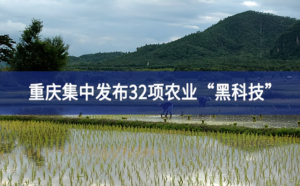 助力乡村振兴 重庆集中发布32项农业“黑科技”