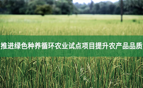推进绿色种养循环农业试点项目提升农产品品质