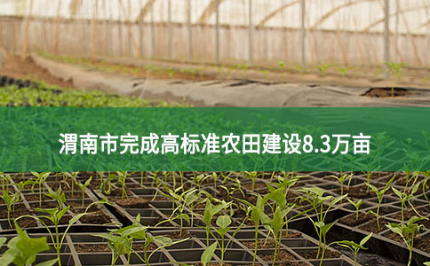 渭南市完成高标准农田建设8.3万亩