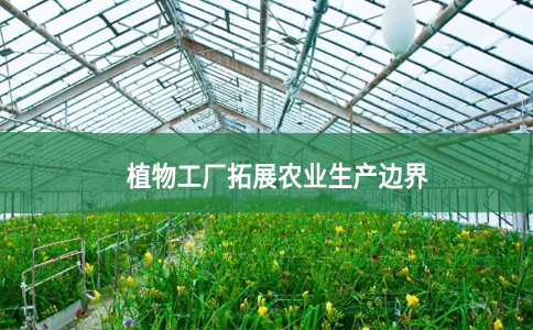 植物工厂拓展农业生产边界