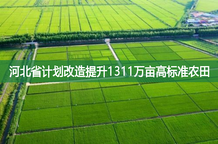 河北省计划改造提升1311万亩高标准农田