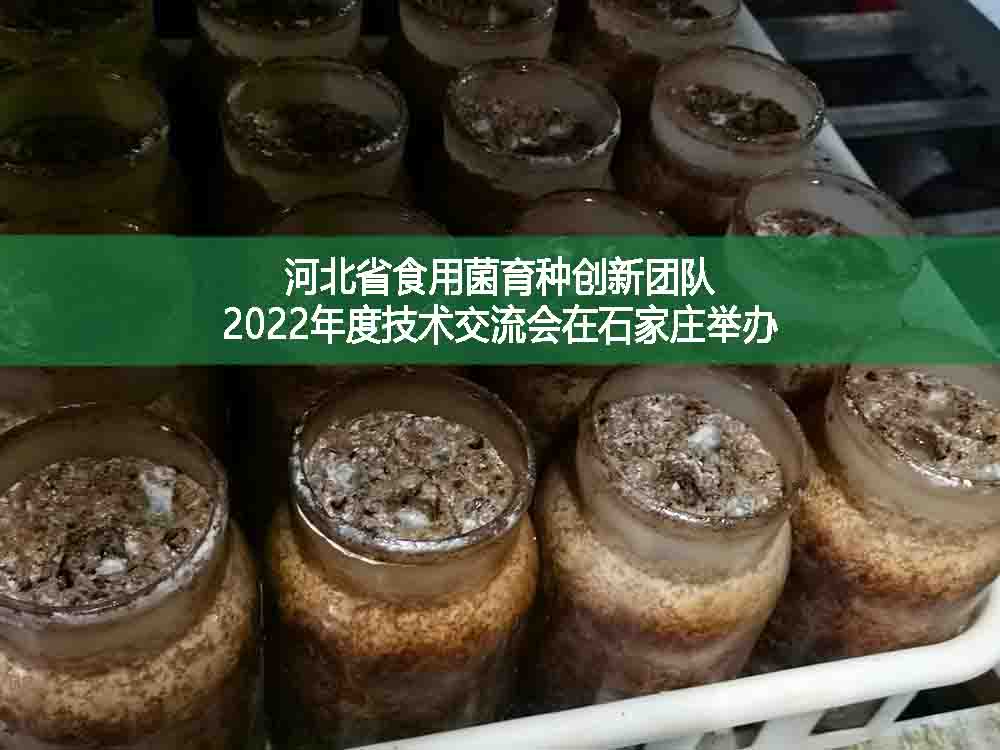 河北省食用菌育种创新团队2022年度技术交流会在石家庄举办