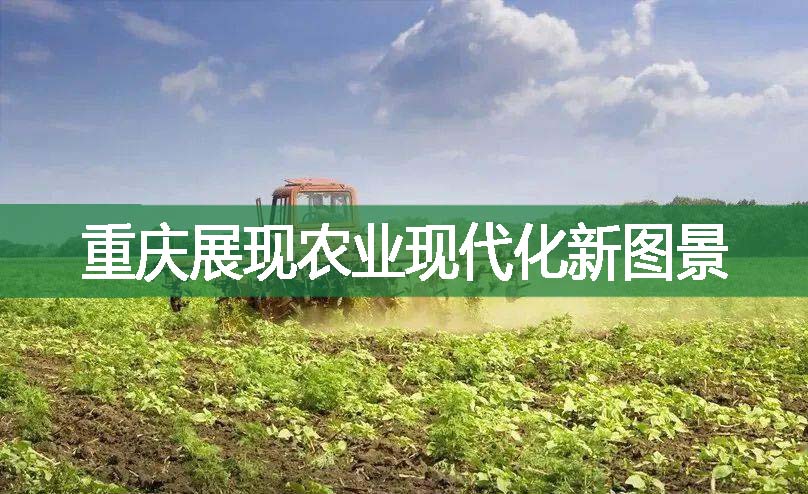 重庆展现农业现代化新图景
